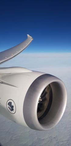 Boeing 787-8 —