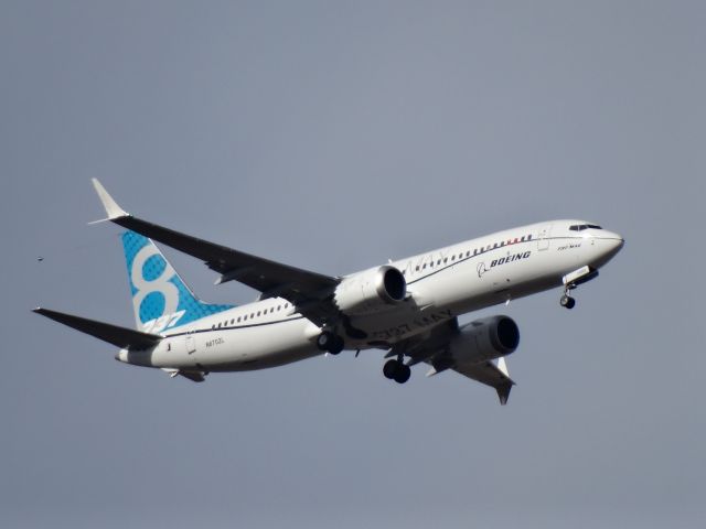 Boeing 737-800 (N8702)