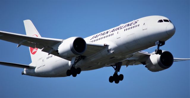 Boeing 787-8 (JA840J)