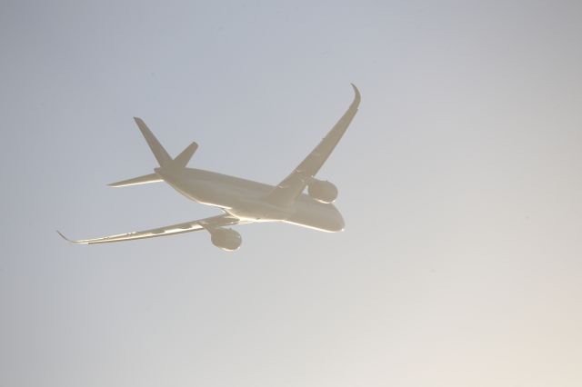 Airbus A350-1000 (A7-ANP)