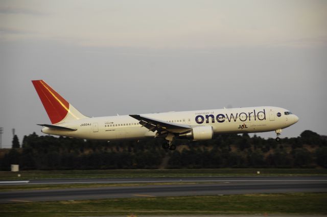 BOEING 767-300 (JA604J) - Landing at NRT Airport Runway 16L on 2011/11/23 One World c/s