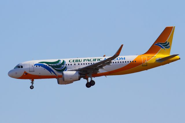 Airbus A320 (RP-C4100)