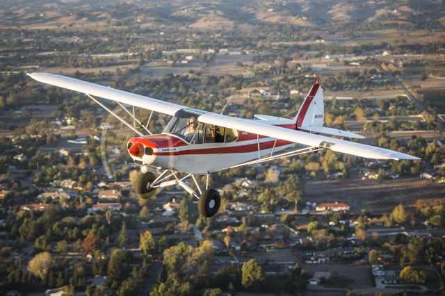 Piper L-21 Super Cub (N82505)
