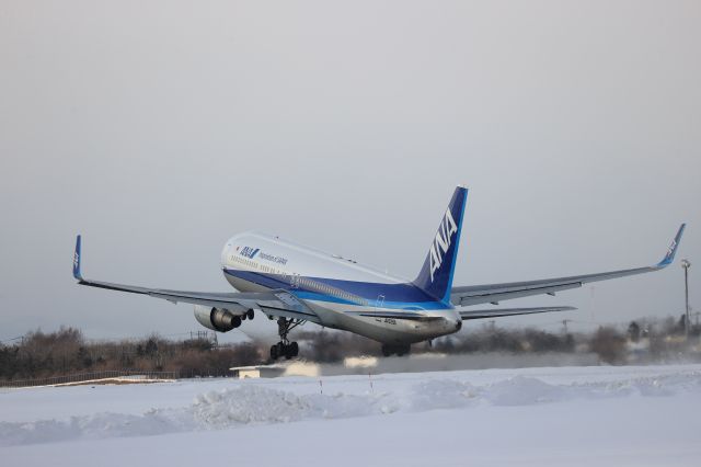 BOEING 767-300 (JA626A) - February 05, 2023:HKD-HND.