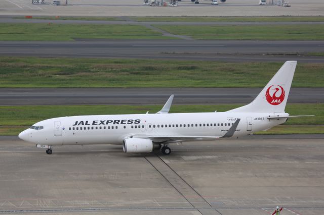 Boeing 737-800 (JA307J)