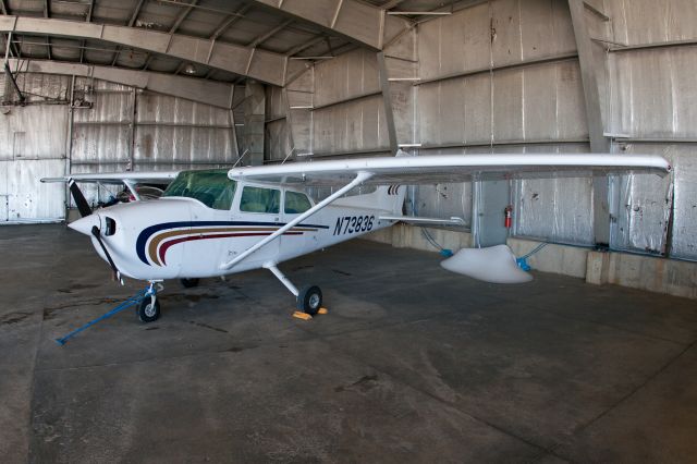 Cessna Skyhawk (N73836)