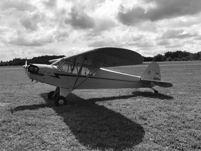 Piper NE Cub (N38754) - Ready to go!