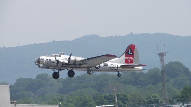 Boeing B-17 Flying Fortress (N3193G) - Yankee Lady taking off. 