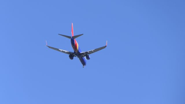 Boeing 737-800 (N8653A)