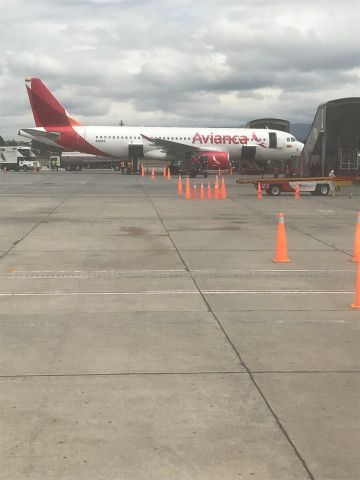 Airbus A320 (N411AV)
