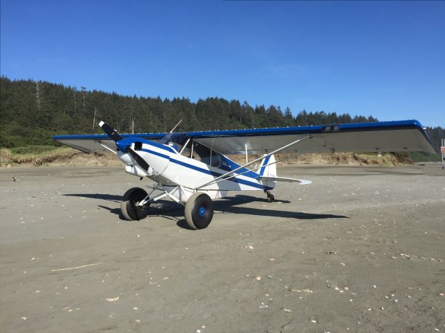 Piper L-21 Super Cub (N18SN) - Copalis Beach, WA