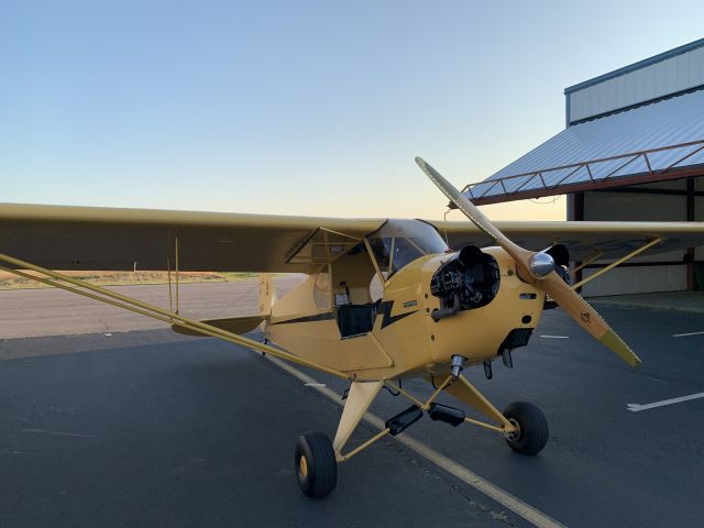 Piper NE Cub (N24500)