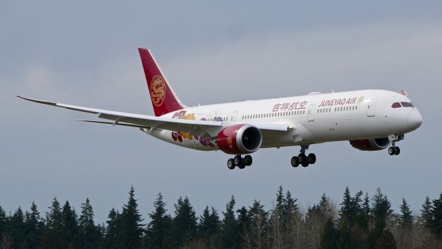 Boeing 787-9 Dreamliner (B-209R) - BOE983 on final to Rwy 34L to complete a C1 flight on 3.25.19, (ln 825 / cn 64315).