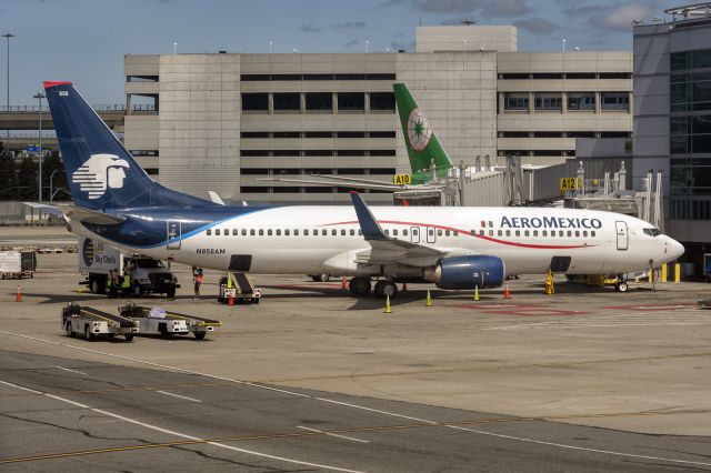 Boeing 737-800 (N858AM) - 18th August, 2019: Parked at the gate at International Terminal A at SFO. (See http://www.planexplorer.net/Xploregallery/displayimage.php?pid=1761 )