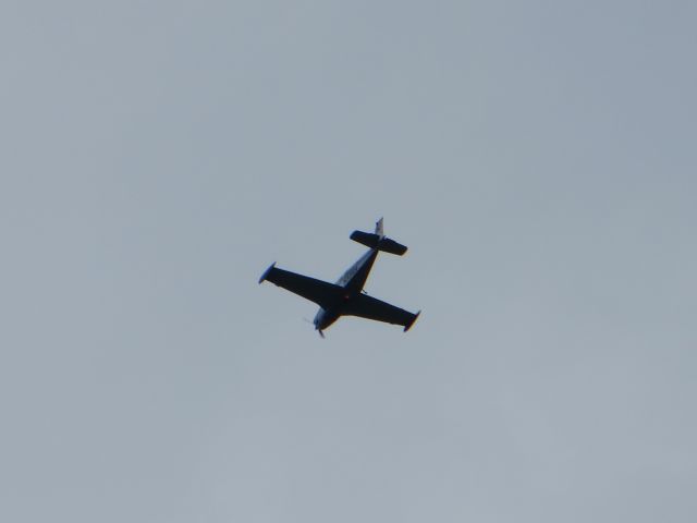 Beechcraft Bonanza (36) (N335R) - Headed into Chesterfield County (KFCI)