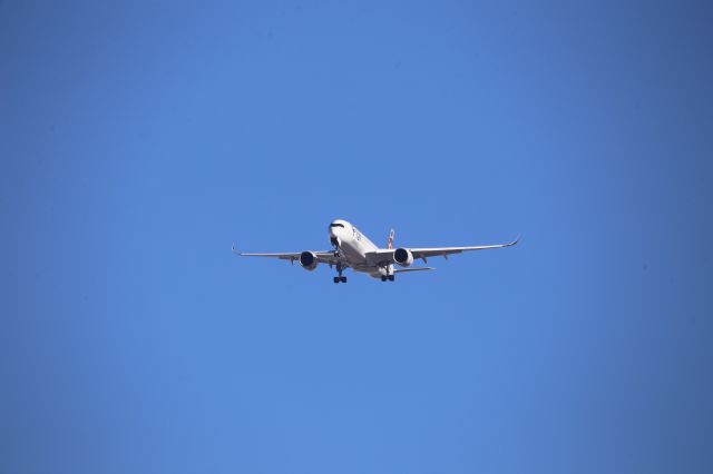 Airbus A350-900 (DQ-FAI)