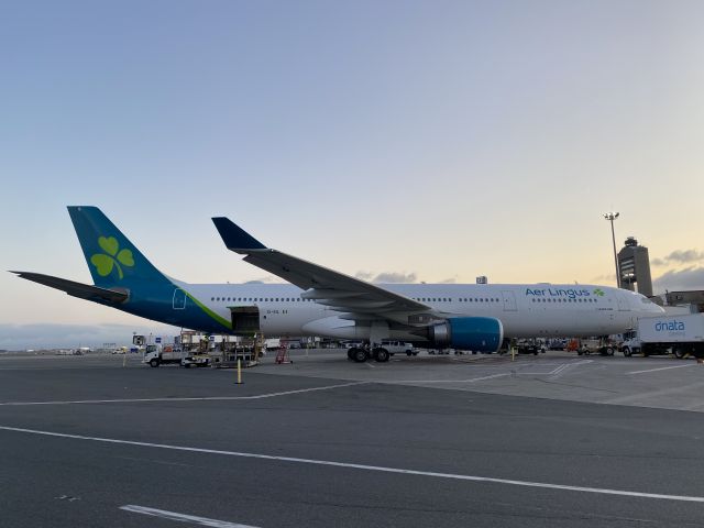 Airbus A330-300 (EI-EIL) - St Macdara - Ex Qatar metal