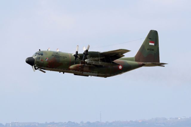 Lockheed C-130 Hercules (A1330) - SkU33