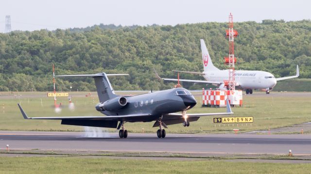 Gulfstream Aerospace Gulfstream 3 (N163PA) - Phoenix Air Groupbr /Gulfstream American G-1159A Gulfstream 3 GLF3br /Jun.11.2017 New Chitose Airport [CTS/RJCC] JAPAN