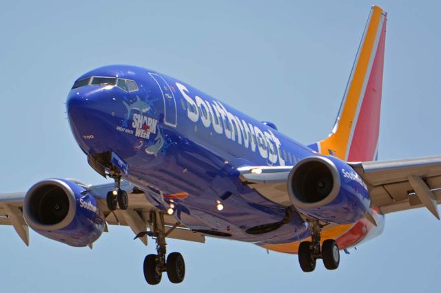 Boeing 737-700 (N470WN) - Southwest Boeing 737-7H4 N470WN Shark Week Great White at Phoenix Sky Harbor on July 28, 2018. 