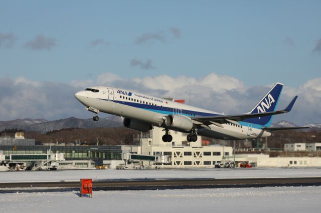 Boeing 737-800 (JA60AN) - 19 January 2017:HKD-HND.