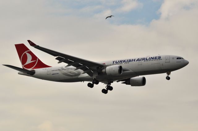 Airbus A330-200 (TC-JNA) - Turkish Airlines "TC-JNA GAziantep" final Rwy05 LTBA