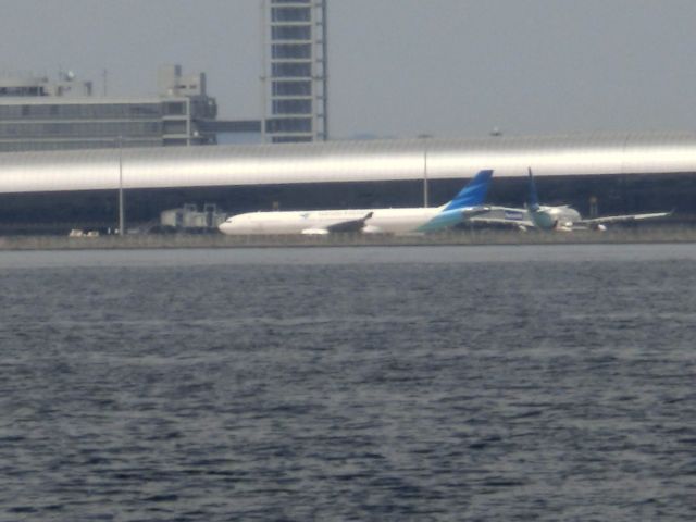 Airbus A330-300 — - 対岸から。