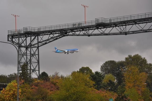 Boeing 787-9 Dreamliner (F-ONUI) - 11-02-22