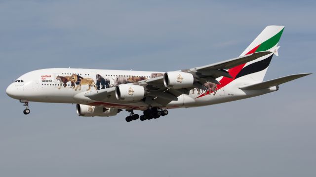 Airbus A380-800 (A6-EEI)