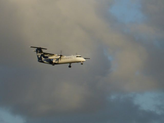 de Havilland Dash 8-300 (ZK-NFI)