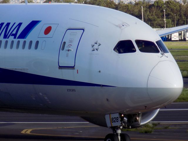 Boeing 787-8 (JA828A)