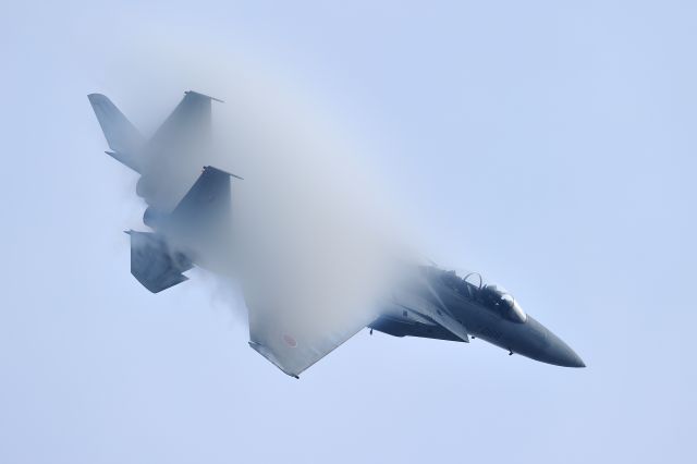 McDonnell Douglas F-15 Eagle (82-8066) - JASDF(Japan Air Self-Defense Force）<br>Nyutabaru Air Self-Defense Force Base "Air Festival"