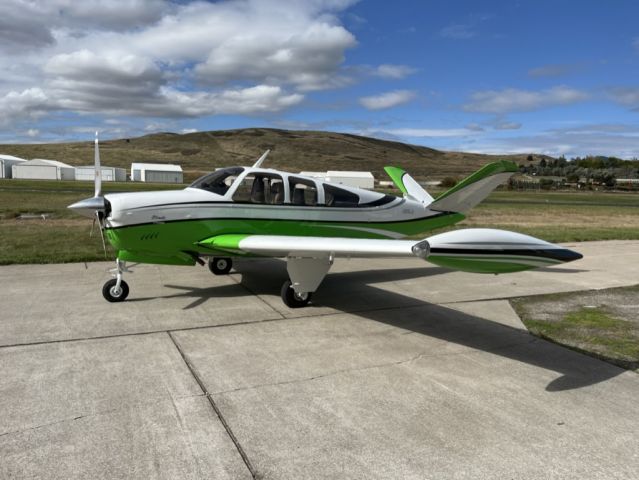 Beechcraft 35 Bonanza (N28LD)