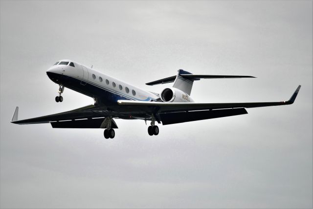 N500J — - Johnson & Johnson corporate jet.