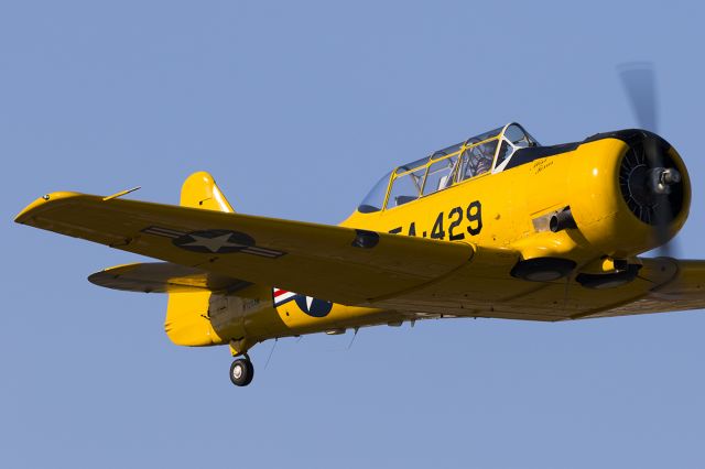 North American T-6 Texan (N729AM)