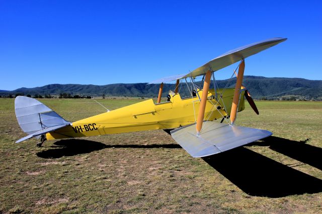 OGMA Tiger Moth (VH-BCC) - Closer detail of beautifully presented Tiger Moth