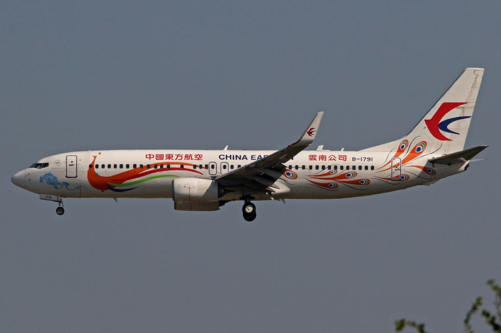 Boeing 737-700 (B-1791) - "Yunnan Peacock" livery