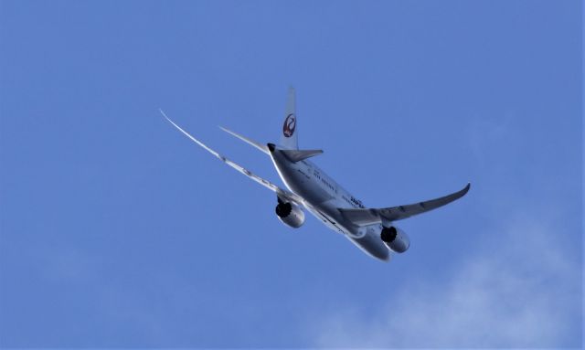 Boeing 787-8 (JAL838J) - JAL #67