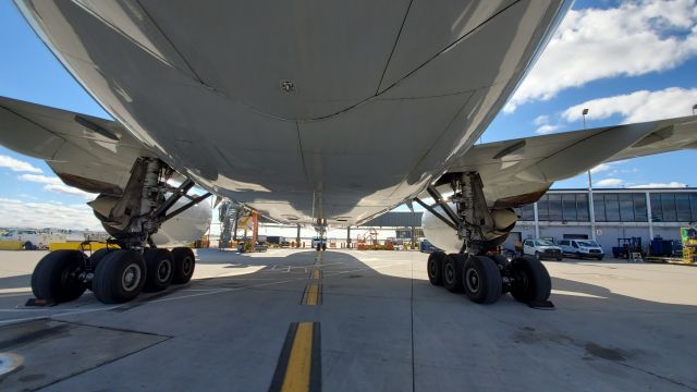 N3LP — - Looking down from the tail of AA's awesome 777-3 in Chicago. 