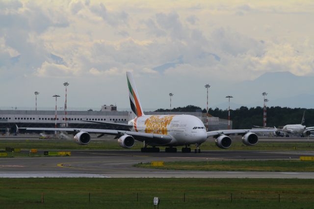 Airbus A380-800 (A6-EEA)