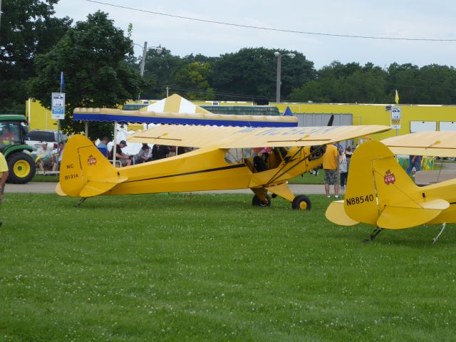 Piper L-18B Cub Special (N8131A)