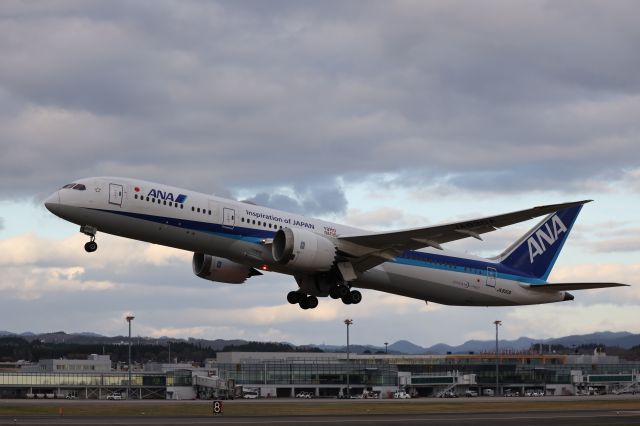 Boeing 787-9 Dreamliner (JA830A) - November 11th 2018:HKD-HND.