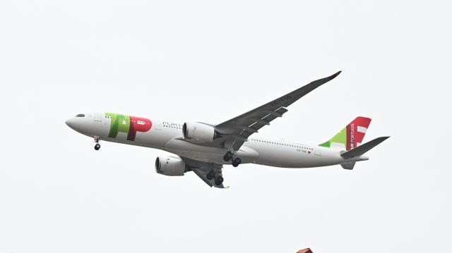 Airbus A330-900 (CS-TUQ)