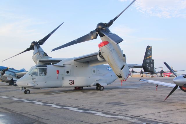 16-8019 — - Seen at Thunder Over Michigan 2011, this bird was assigned to VMMT 204 based at MCAS New River