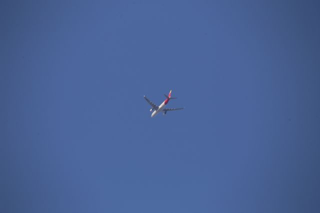 Airbus A330-200 (EC-MMG)