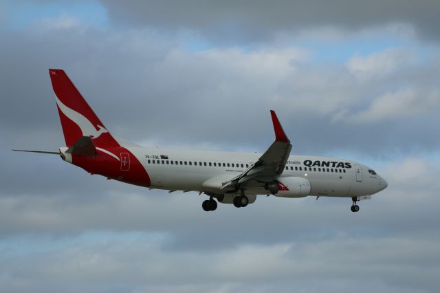 Boeing 737-800 (ZK-ZQE)