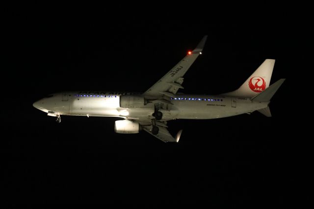 Boeing 737-800 (JA346J) - December 3rd 2018:HND-HKD.