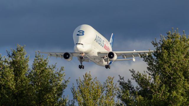 SATIC Super Transporter (F-GSTC) - I went up to Bangor to catch this Beluga flying in. Thankfully, the sun showed up just as it was flying in.