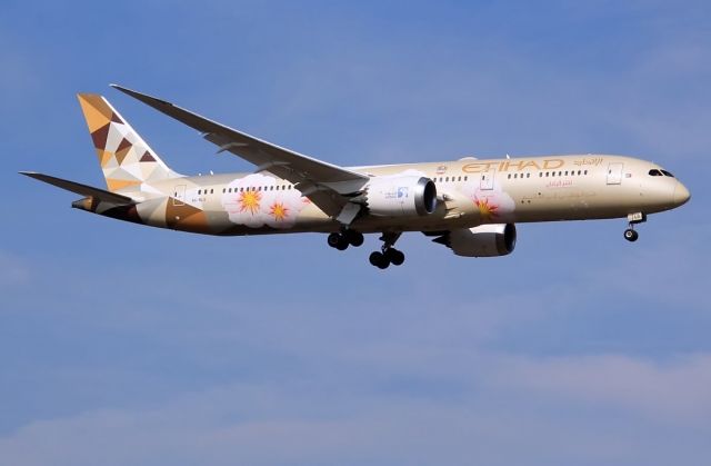 Boeing 787-9 Dreamliner (A6-BLS)