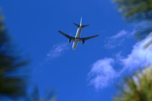BOEING 767-300 (JA01HD)